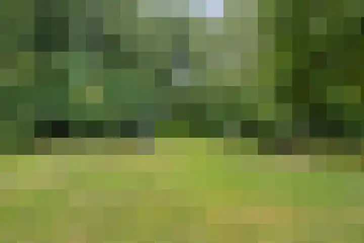 Heikampen 48 Nuenen thumbnail 26