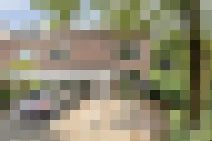 Heikampen 48 Nuenen thumbnail 31