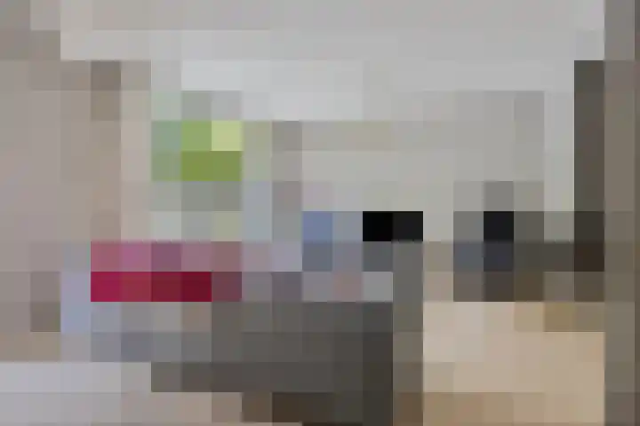 Heikampen 48 Nuenen thumbnail 9