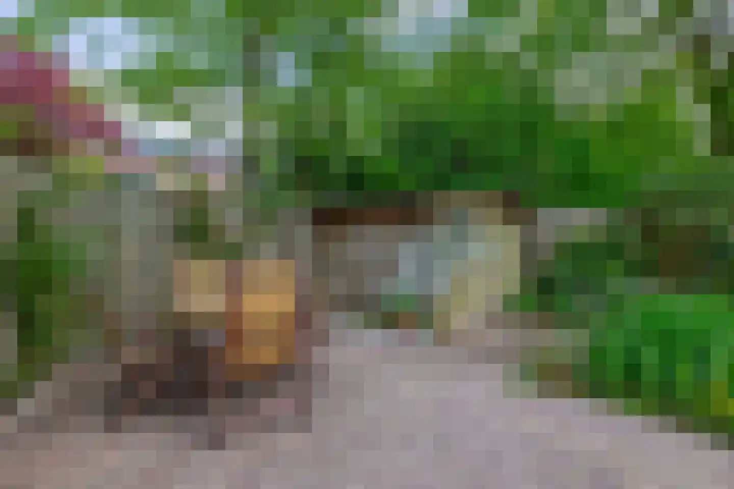 Heikampen 68 Nuenen thumbnail 32
