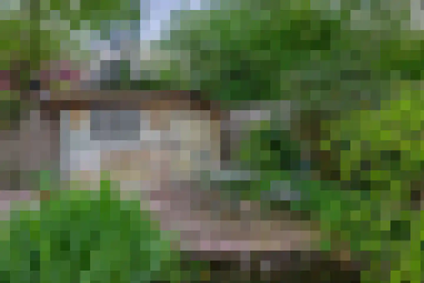 Heikampen 68 Nuenen thumbnail 36