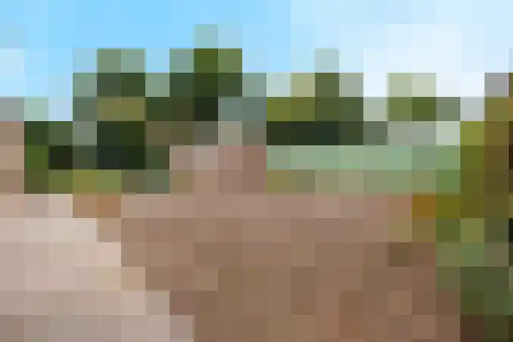 Heikampseweg 24 Heijen thumbnail 4