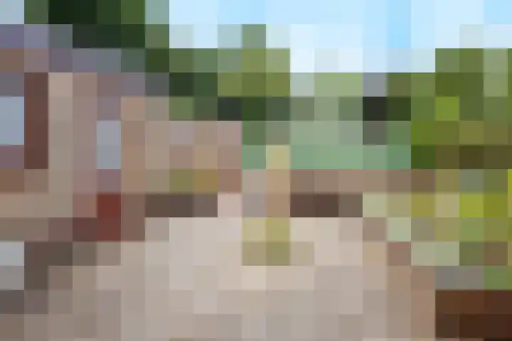 Heikampseweg 24 Heijen thumbnail 40