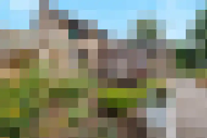 Heikampseweg 24 Heijen thumbnail 41
