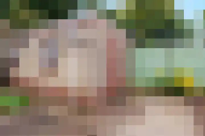 Heikampseweg 24 Heijen thumbnail 43