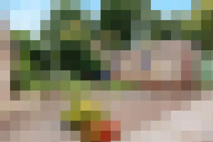 Heikampseweg 24 Heijen thumbnail 44