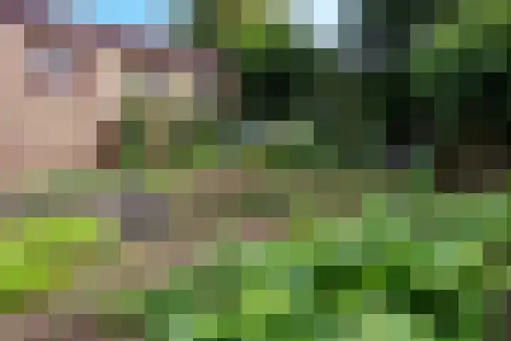 Heikampseweg 24 Heijen thumbnail 46