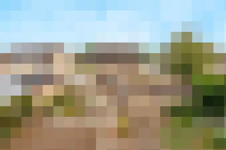 Heikampseweg 24 Heijen thumbnail 50