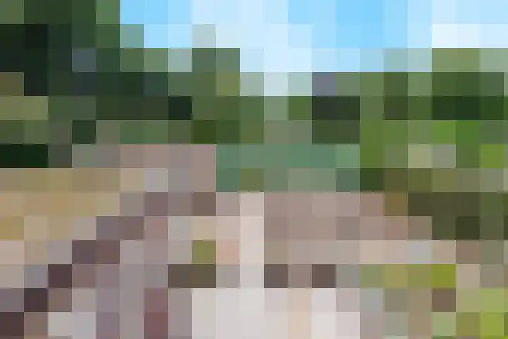 Heikampseweg 24 Heijen thumbnail 51