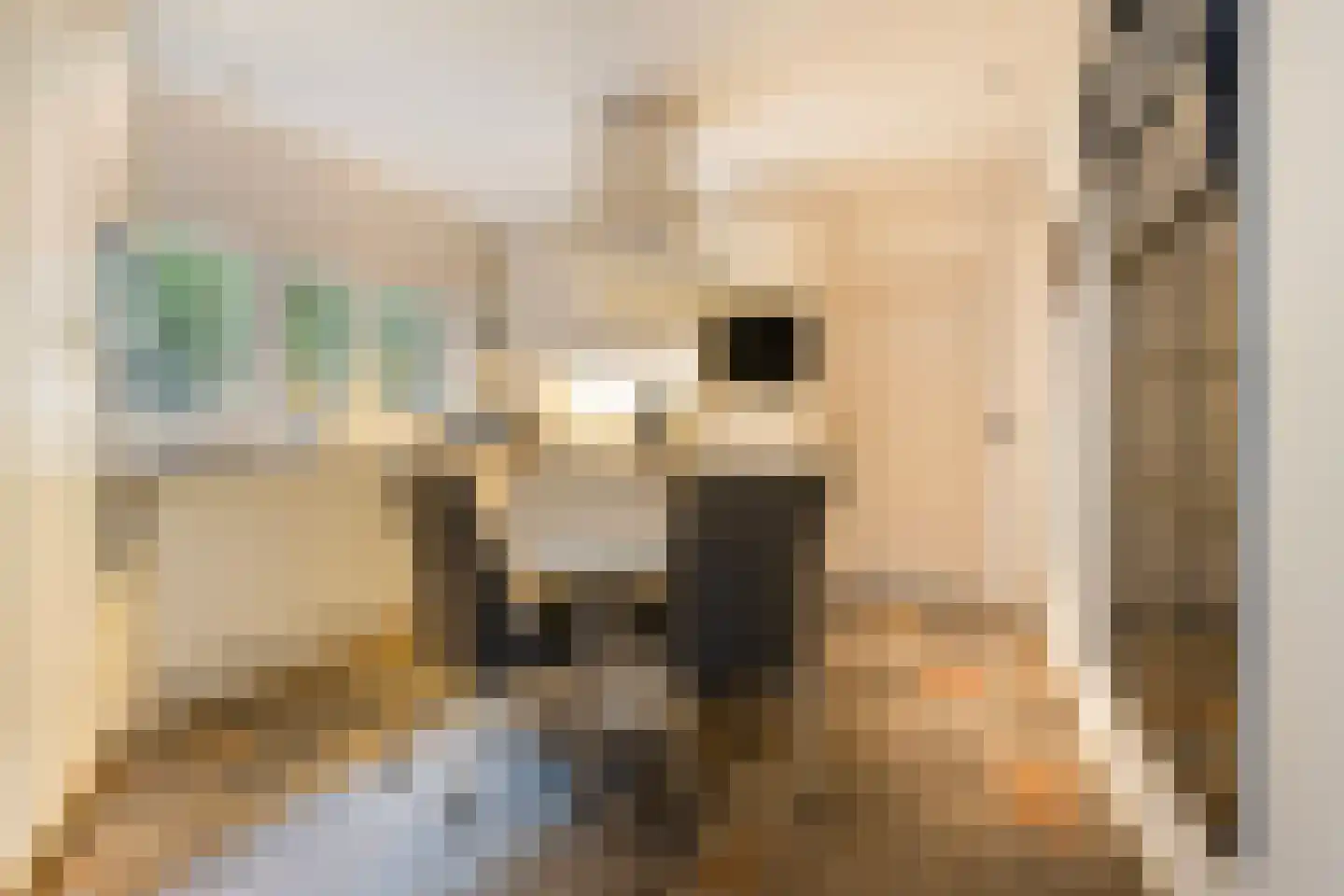 Heikampseweg 70 Heijen foto 3