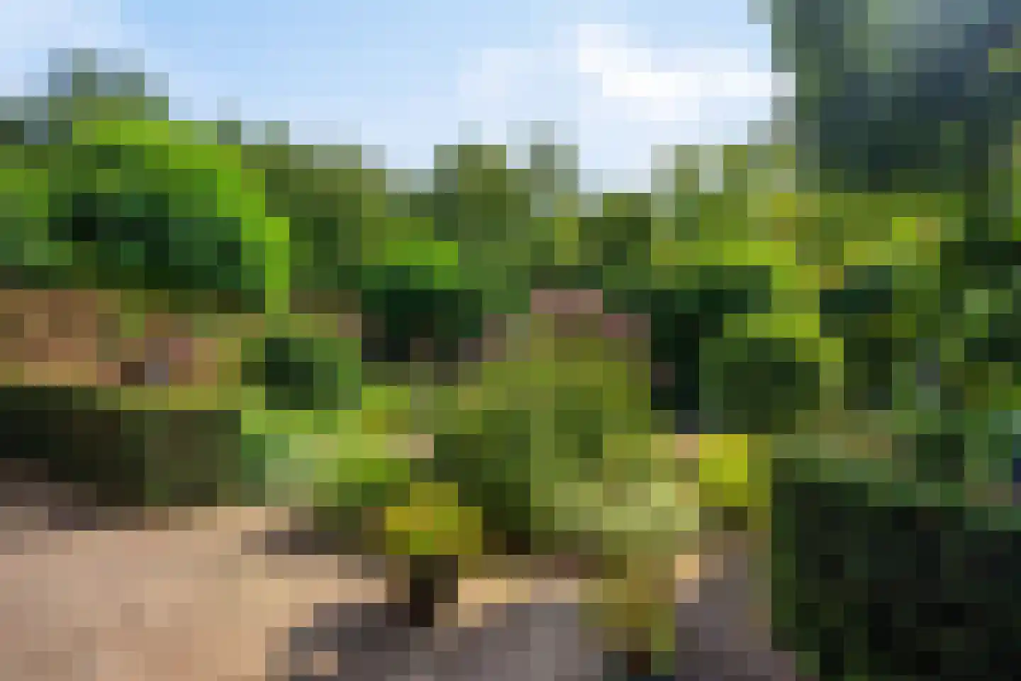 Heikampseweg 74 Heijen thumbnail 34