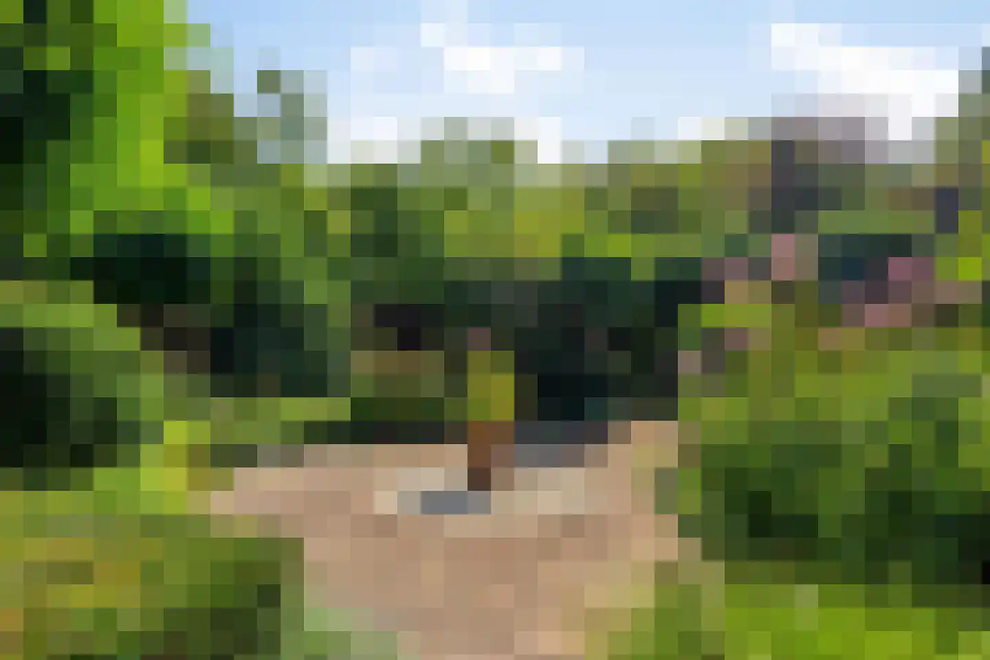 Heikampseweg 74 Heijen thumbnail 35