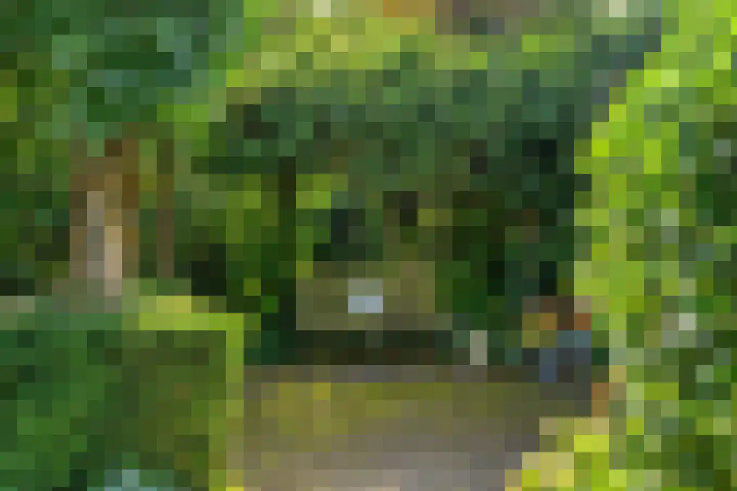 Heikampseweg 74 Heijen thumbnail 36