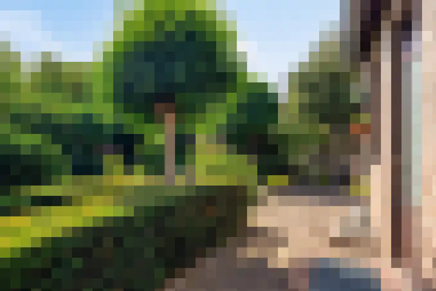 Heikampseweg 74 Heijen thumbnail 38