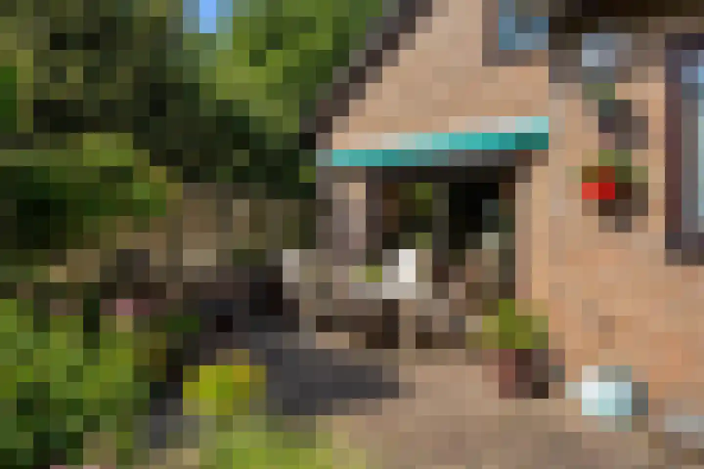 Heikampseweg 74 Heijen thumbnail 39