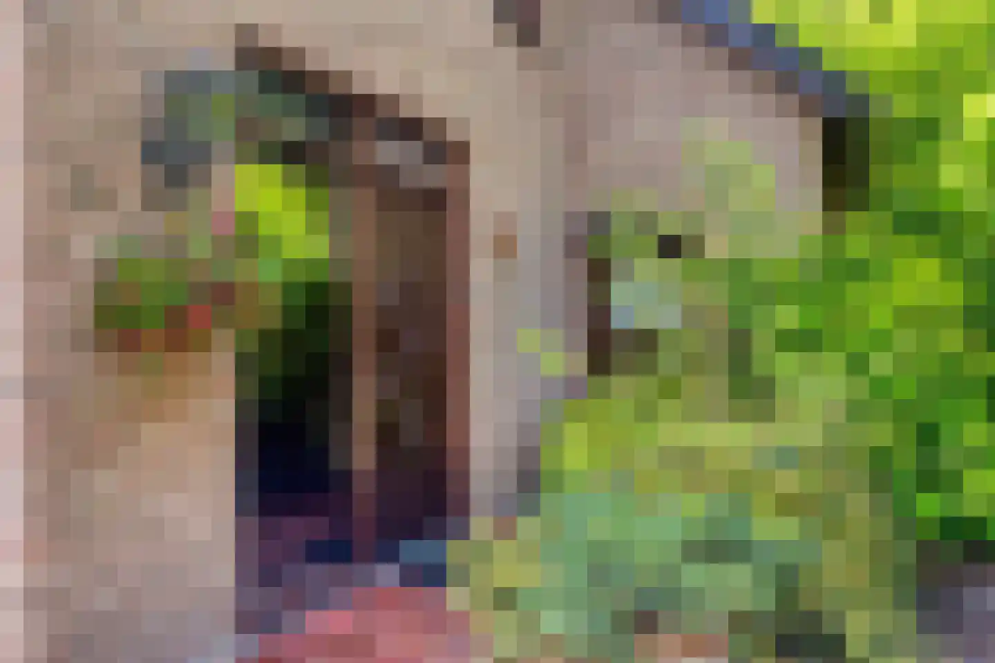 Heikampseweg 74 Heijen thumbnail 7