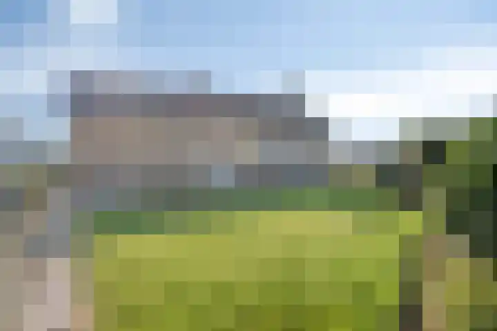 Heikampweg 3 Kessel thumbnail 27