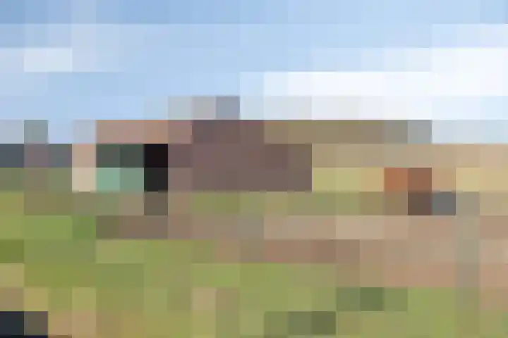 Heikampweg 3 Kessel thumbnail 40