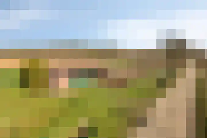 Heikampweg 3 Kessel thumbnail 42