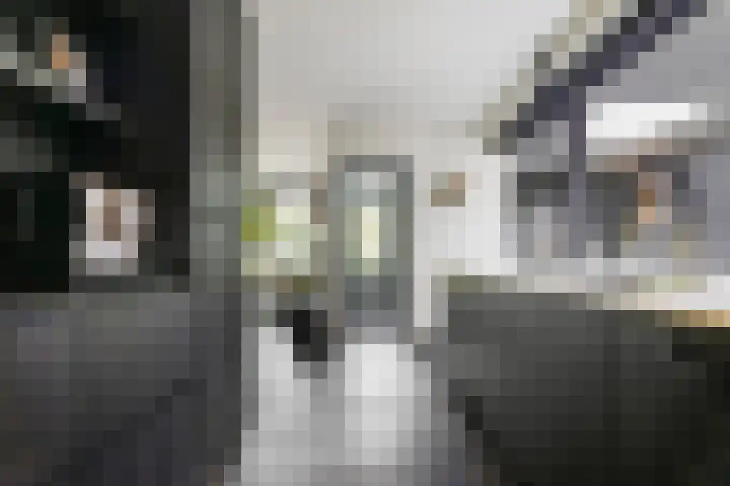 Heikant 12 Kaatsheuvel thumbnail 19