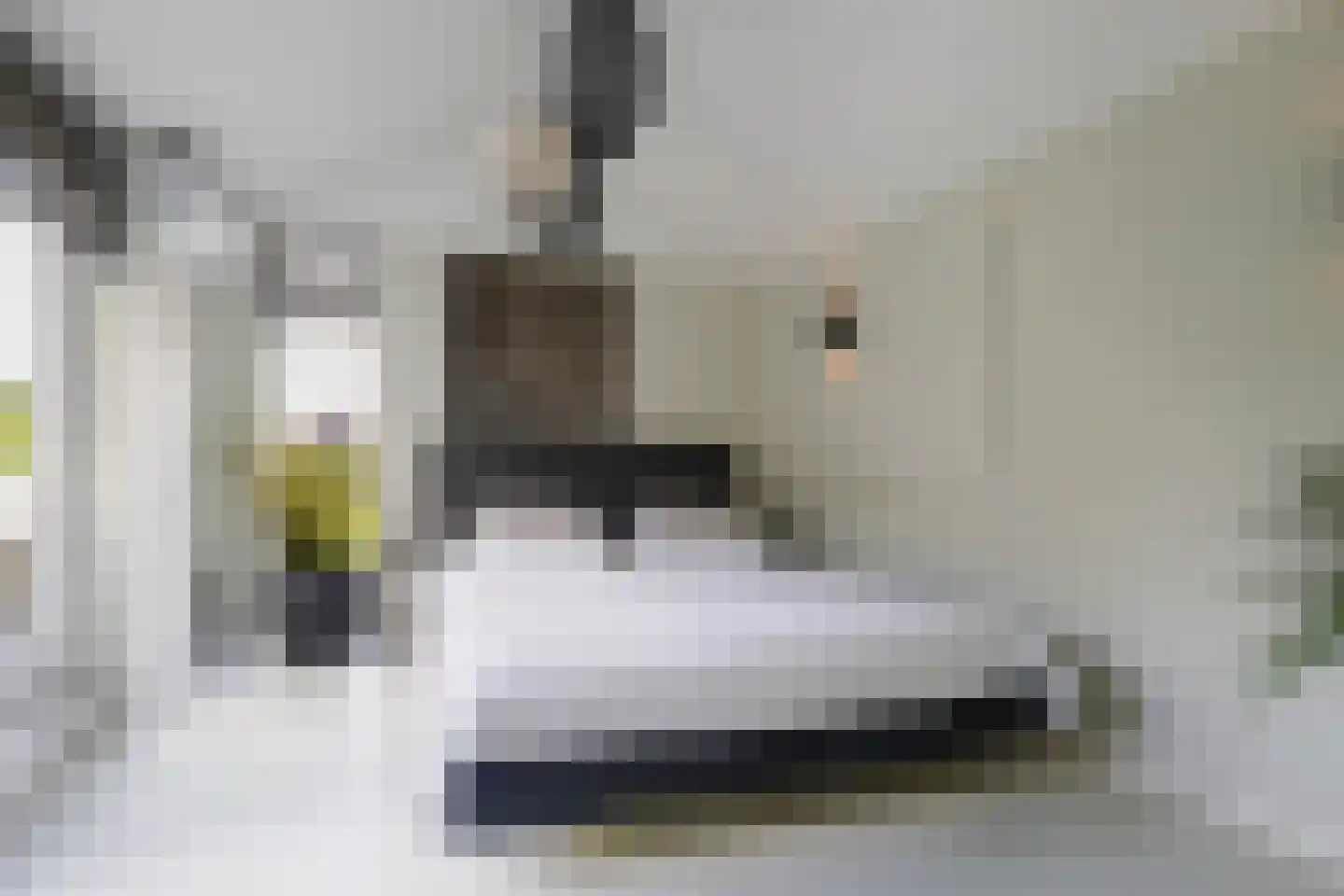 Heikant 12 Kaatsheuvel thumbnail 25