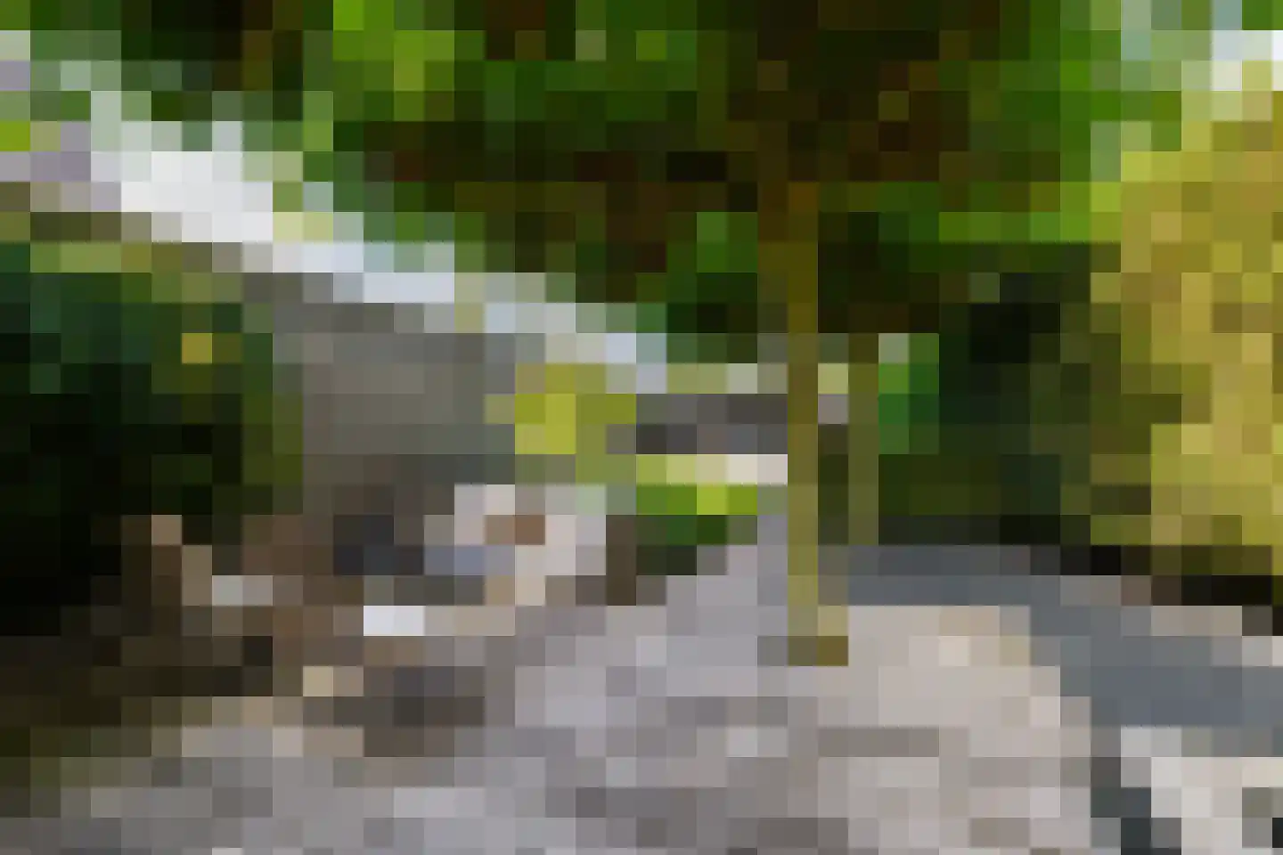 Heikant 12 Kaatsheuvel thumbnail 42