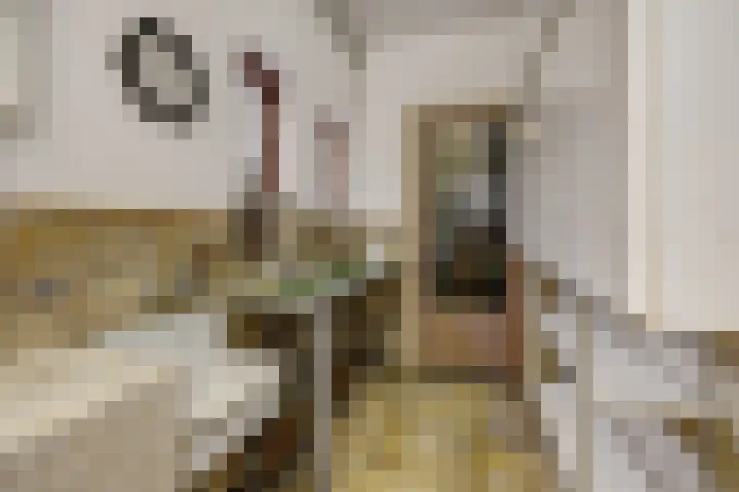 Heikant 17 Deurne thumbnail 18