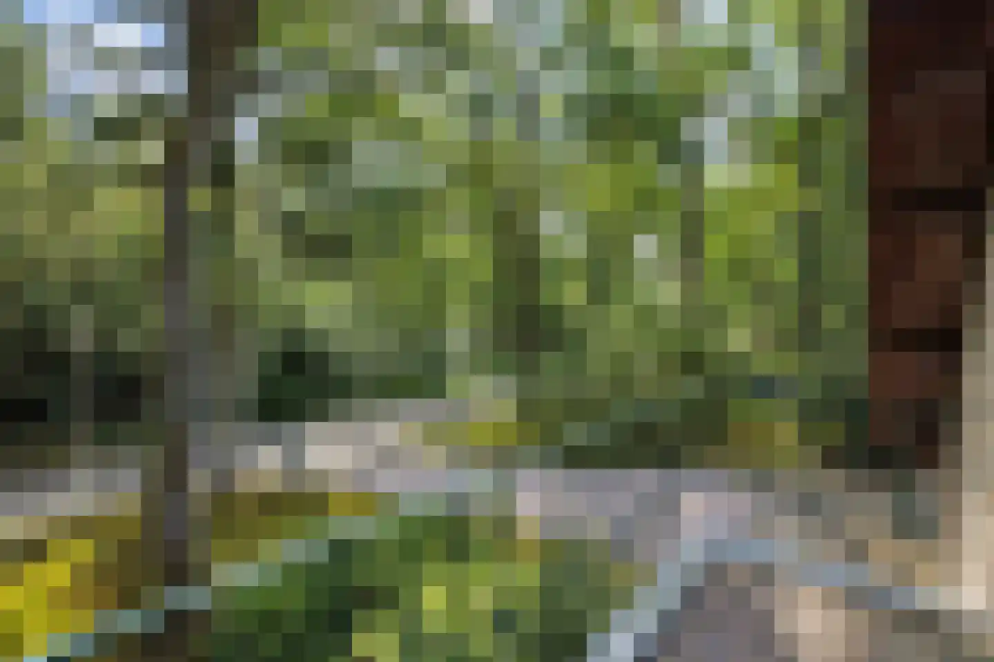 Heikant 17 Deurne thumbnail 25