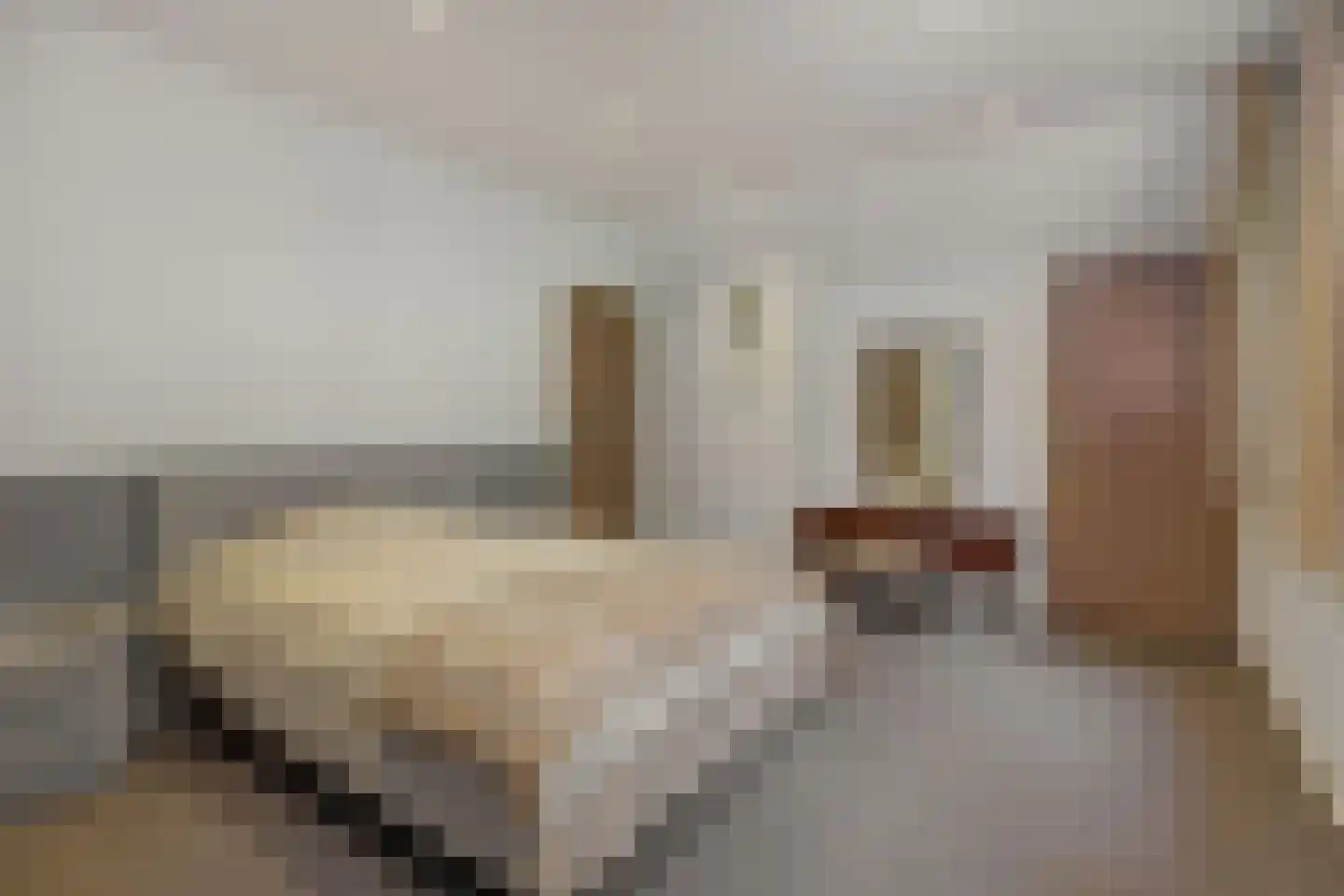 Heikant 17 Deurne thumbnail 31