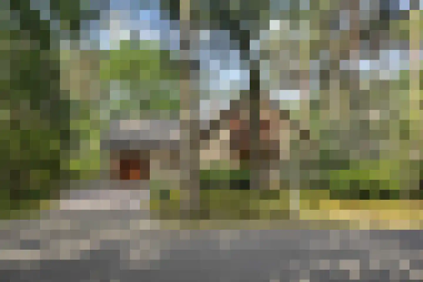Heikant 17 Deurne thumbnail 39