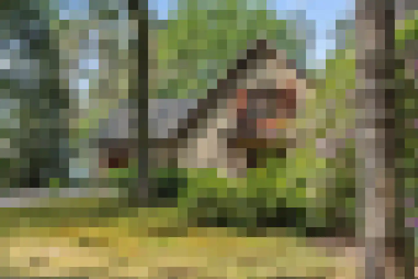 Heikant 17 Deurne thumbnail 40