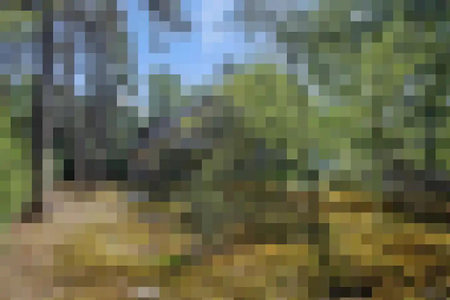 Heikant 17 Deurne thumbnail 41