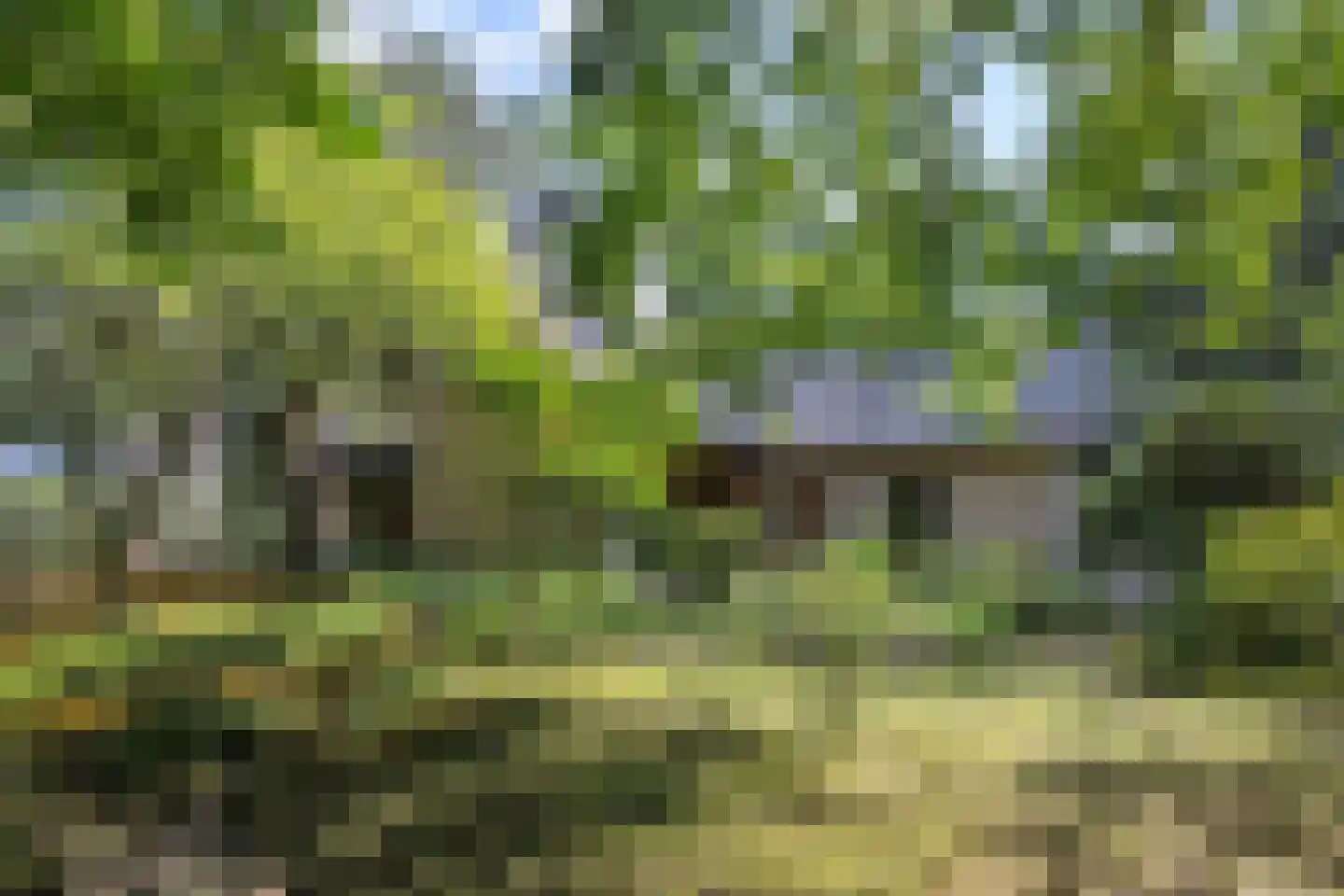 Heikant 17 Deurne thumbnail 42