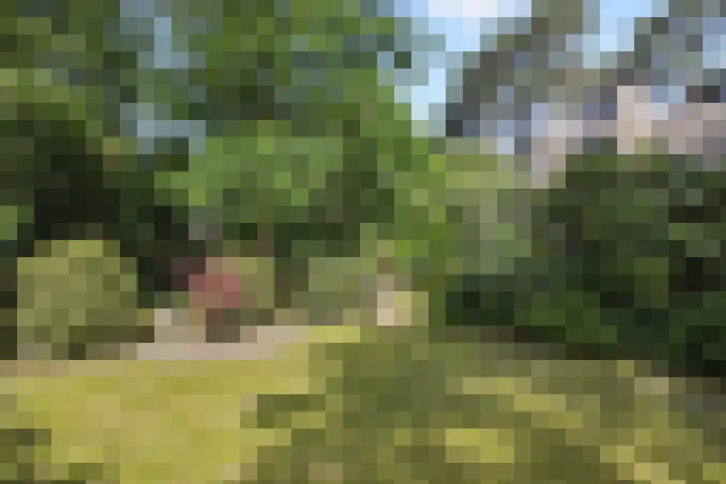 Heikant 17 Deurne thumbnail 43