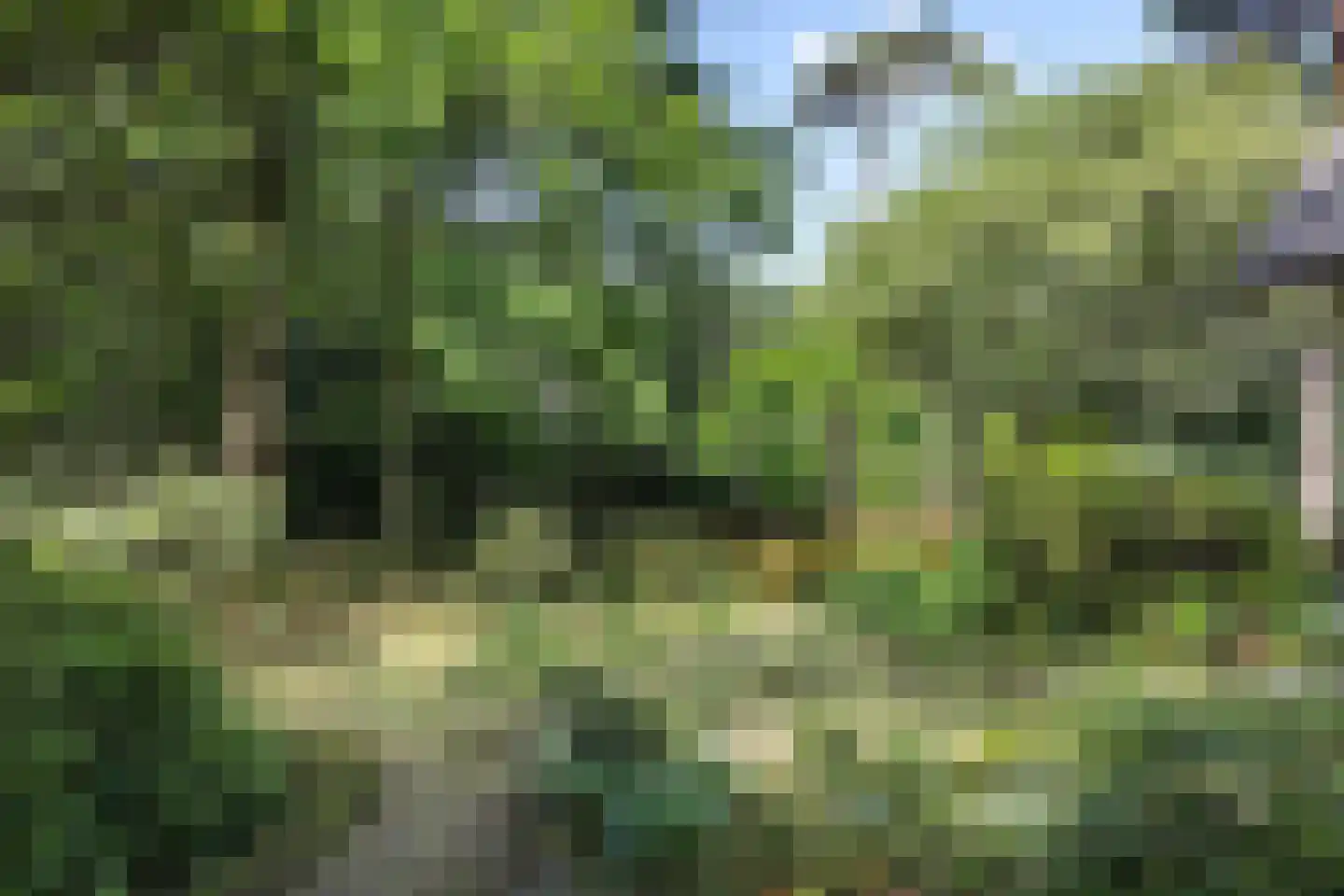 Heikant 17 Deurne thumbnail 44