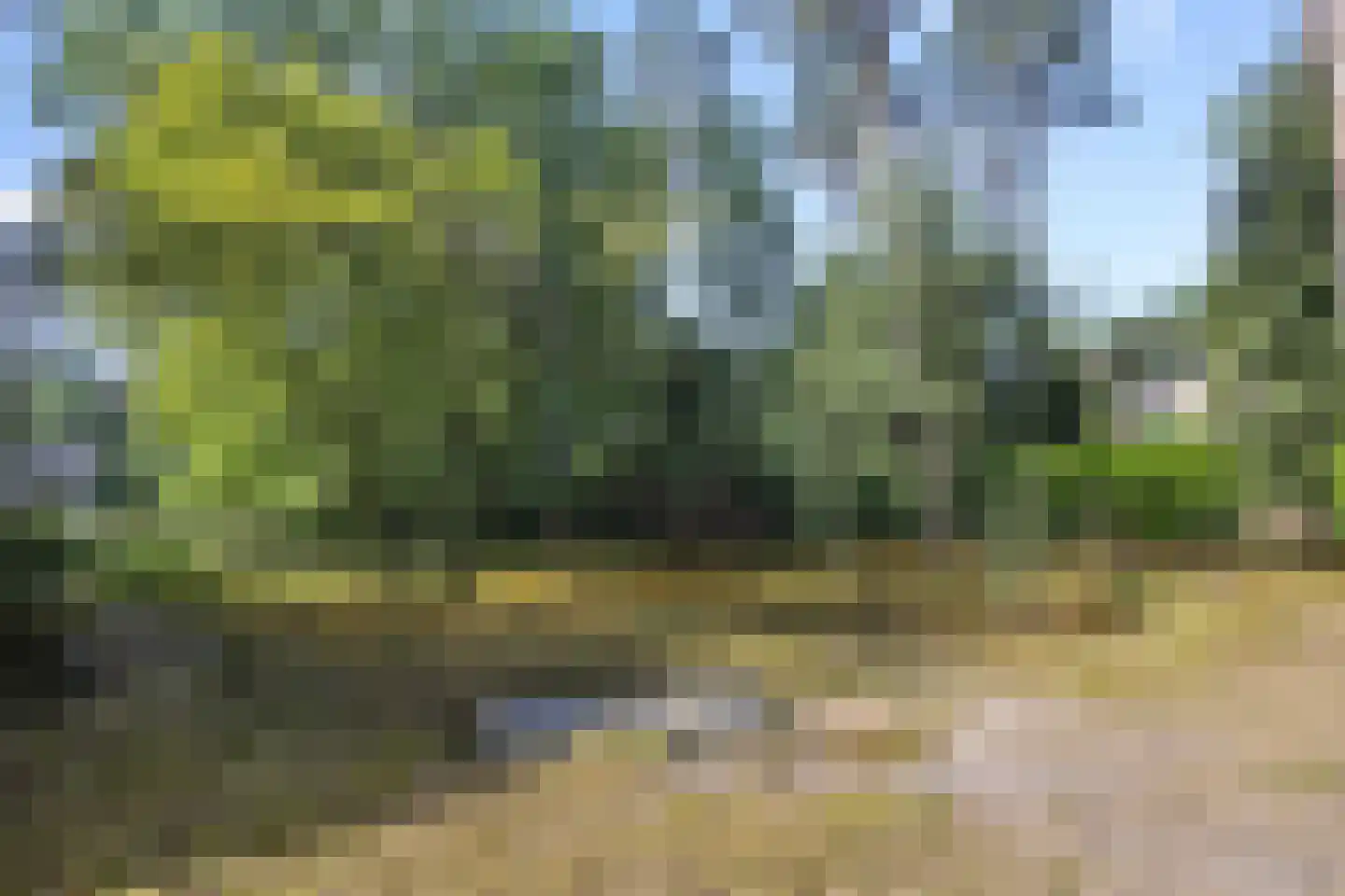 Heikant 17 Deurne thumbnail 45