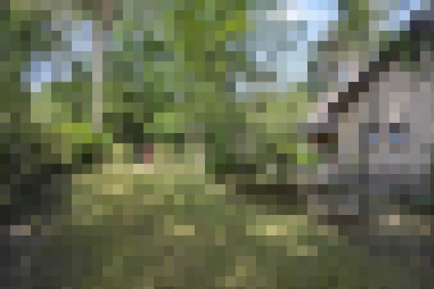 Heikant 17 Deurne thumbnail 46