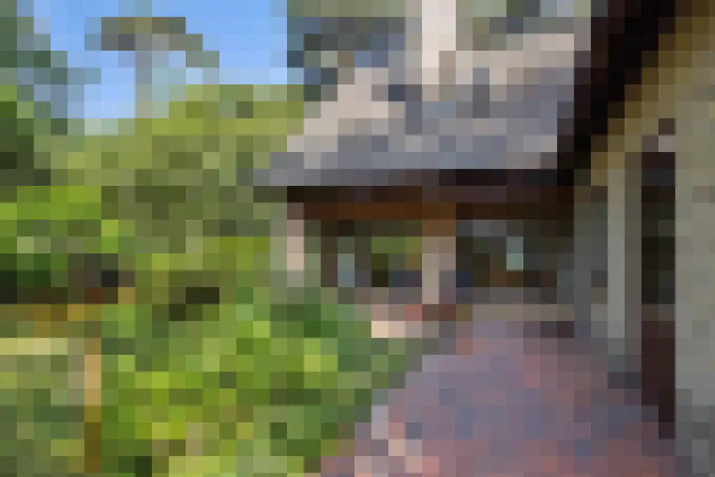 Heikant 17 Deurne thumbnail 47