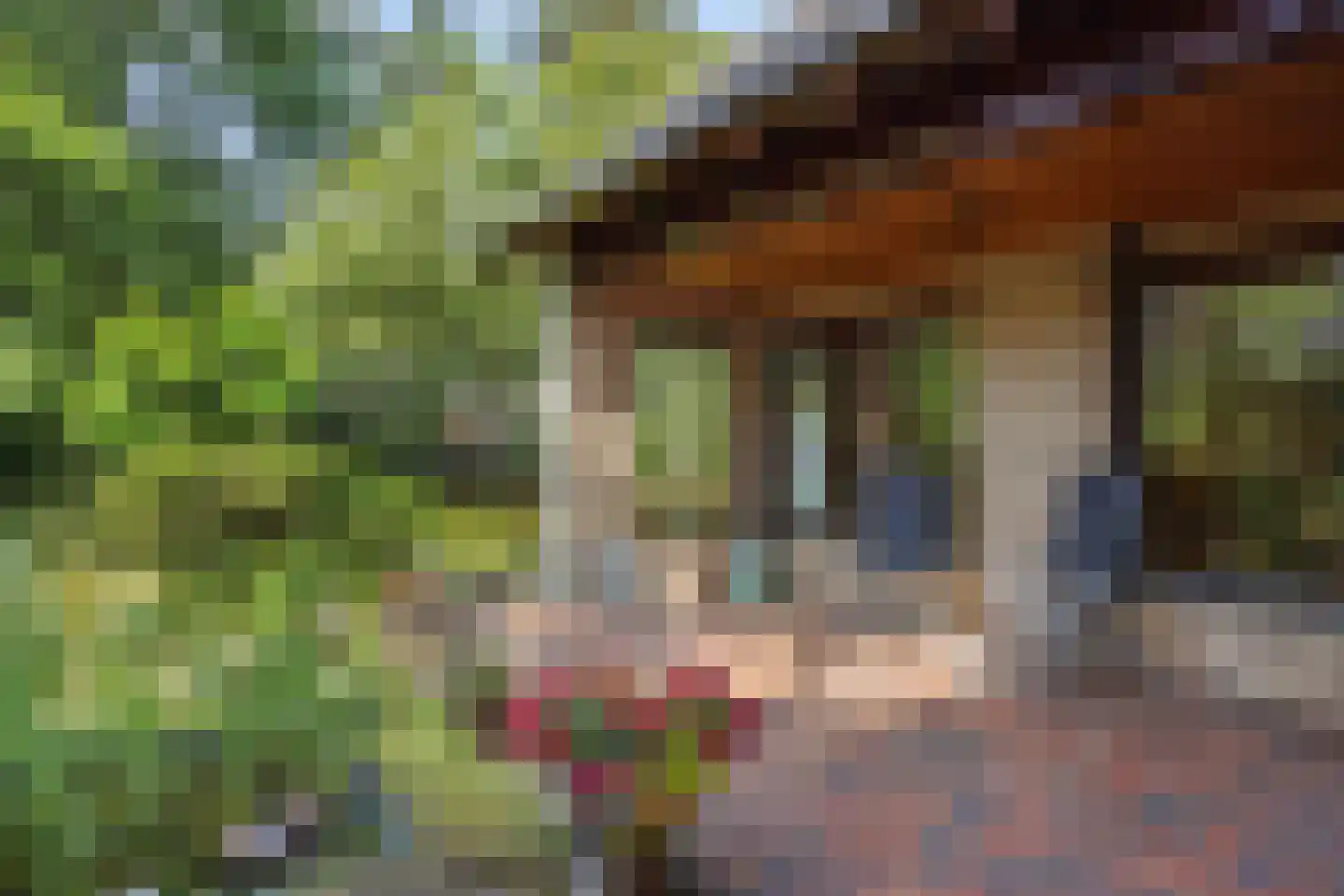 Heikant 17 Deurne thumbnail 48