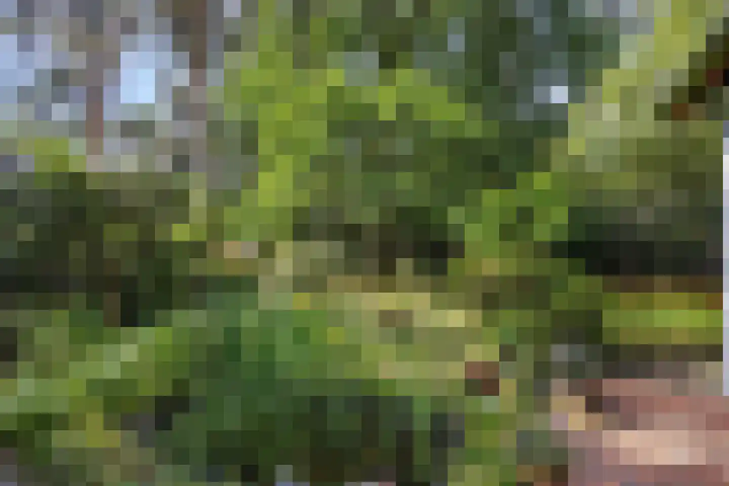 Heikant 17 Deurne thumbnail 50