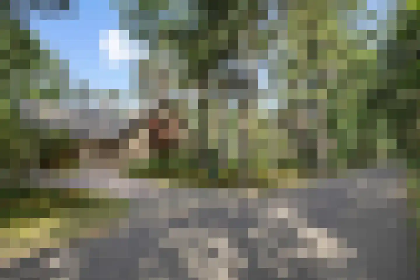 Heikant 17 Deurne thumbnail 52