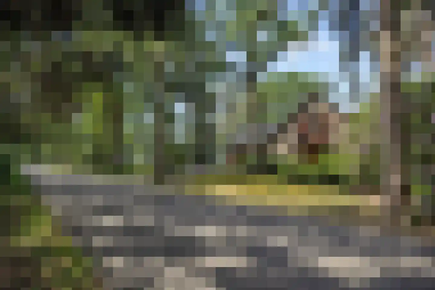 Heikant 17 Deurne thumbnail 53