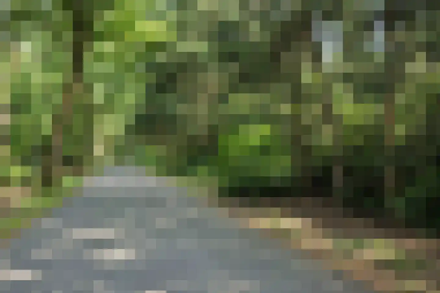 Heikant 17 Deurne thumbnail 54