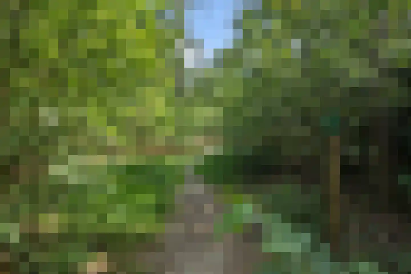 Heikant 17 Deurne thumbnail 55