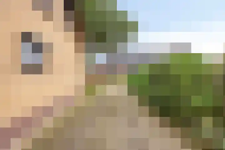 Heikant 28 Gastel thumbnail 20