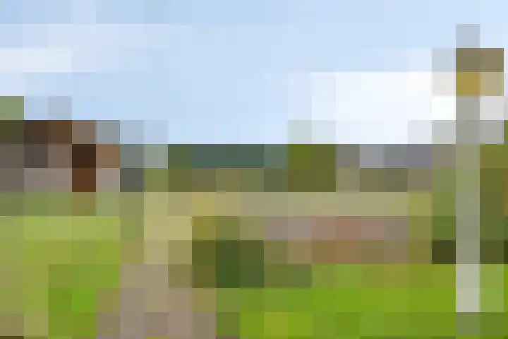 Heikant 28 Gastel thumbnail 26