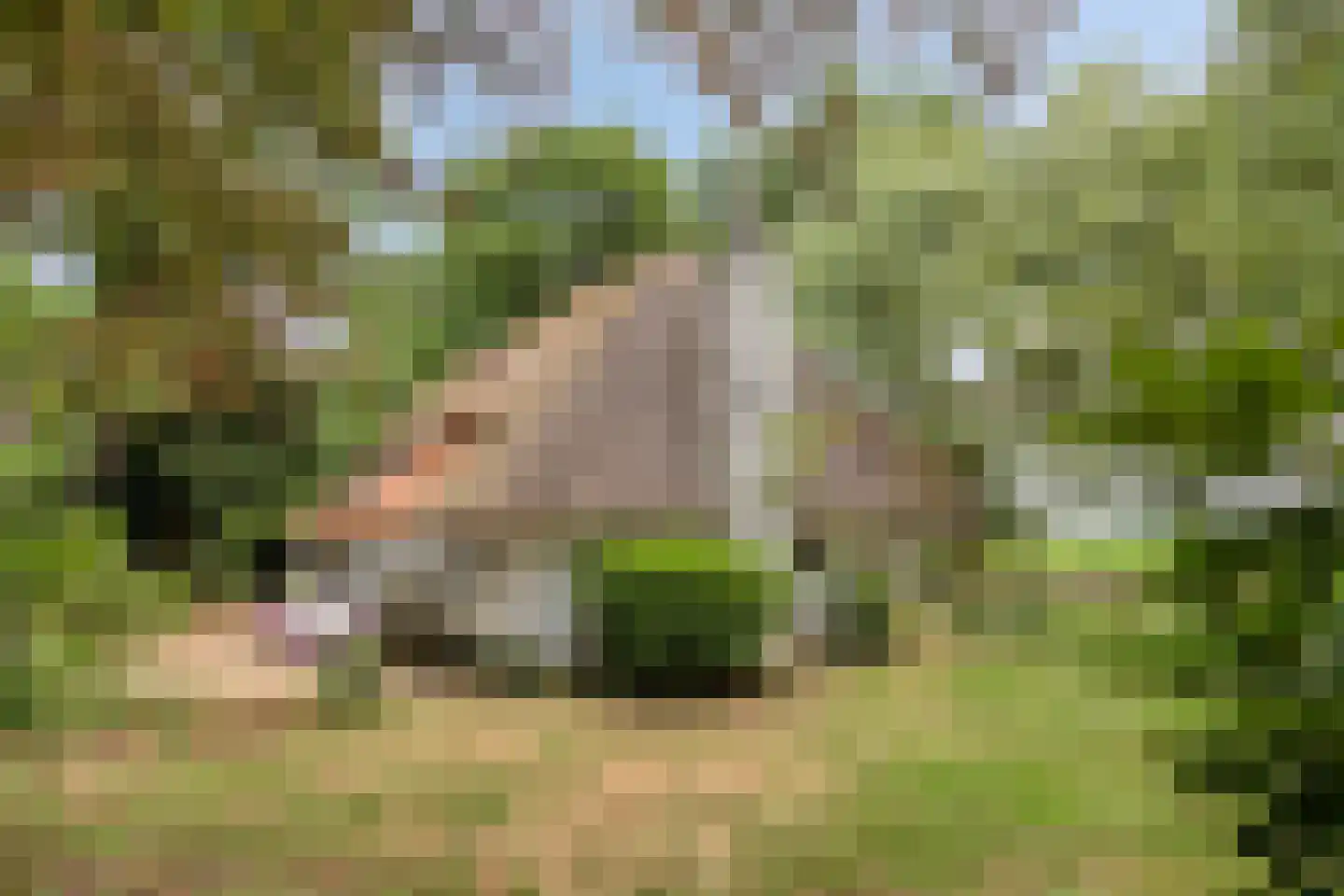 Heikant 40 Gastel thumbnail 22