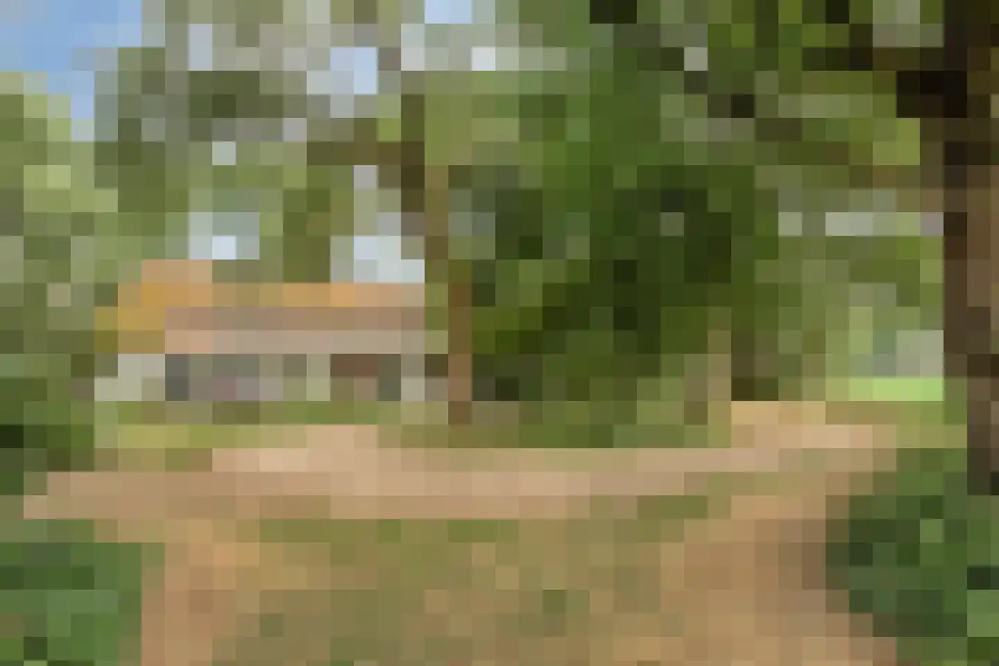 Heikant 40 Gastel thumbnail 23