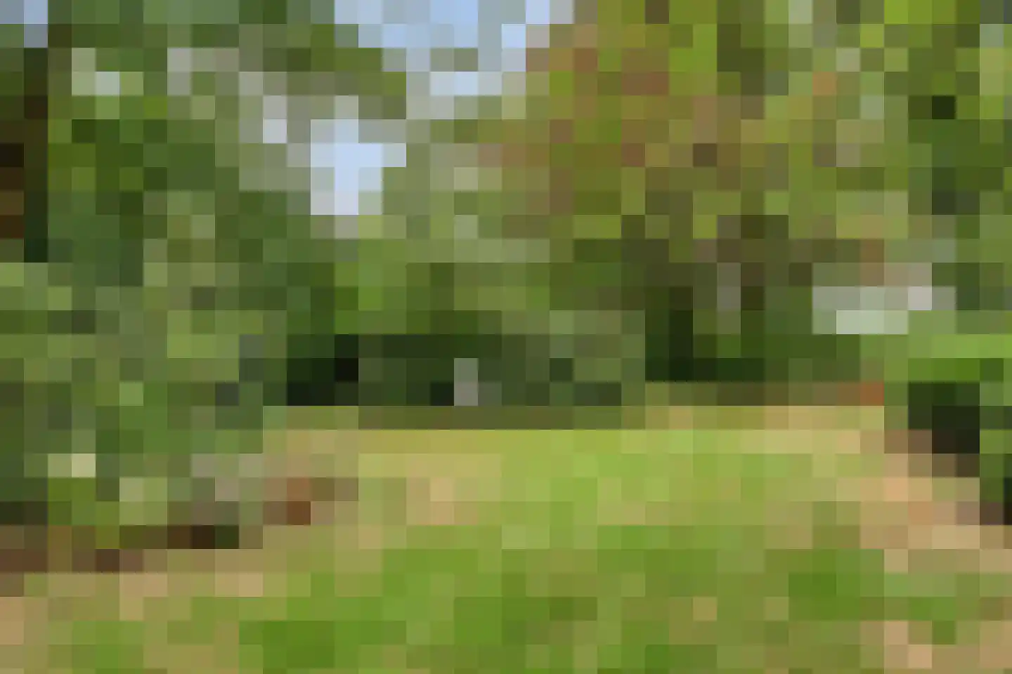 Heikant 40 Gastel thumbnail 24