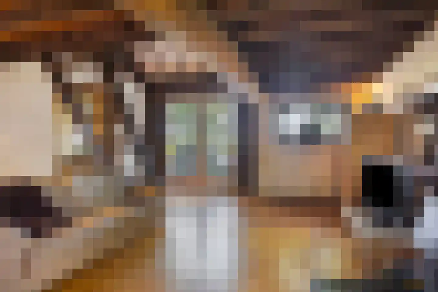 Heikant 40 Gastel thumbnail 7